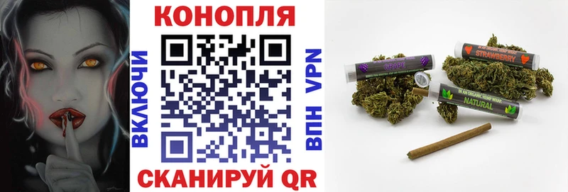 площадка какой сайт  Электроугли  Канабис конопля 